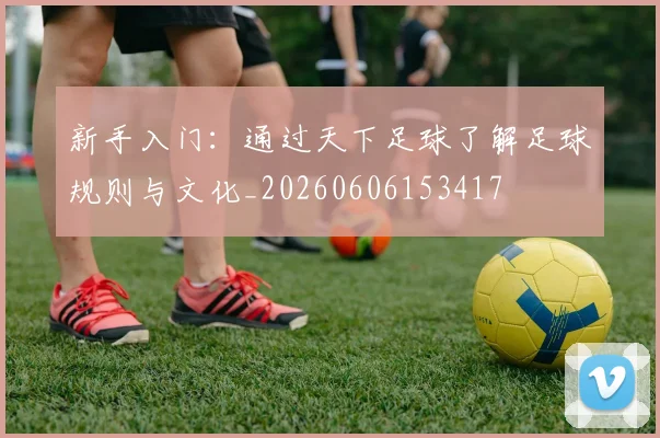 新手入门：通过天下足球了解足球规则与文化_20260606153417
